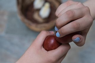 pasxa auga